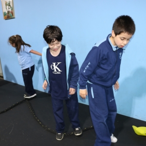 Día de la Actividad Física